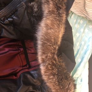 kapraun jacket price